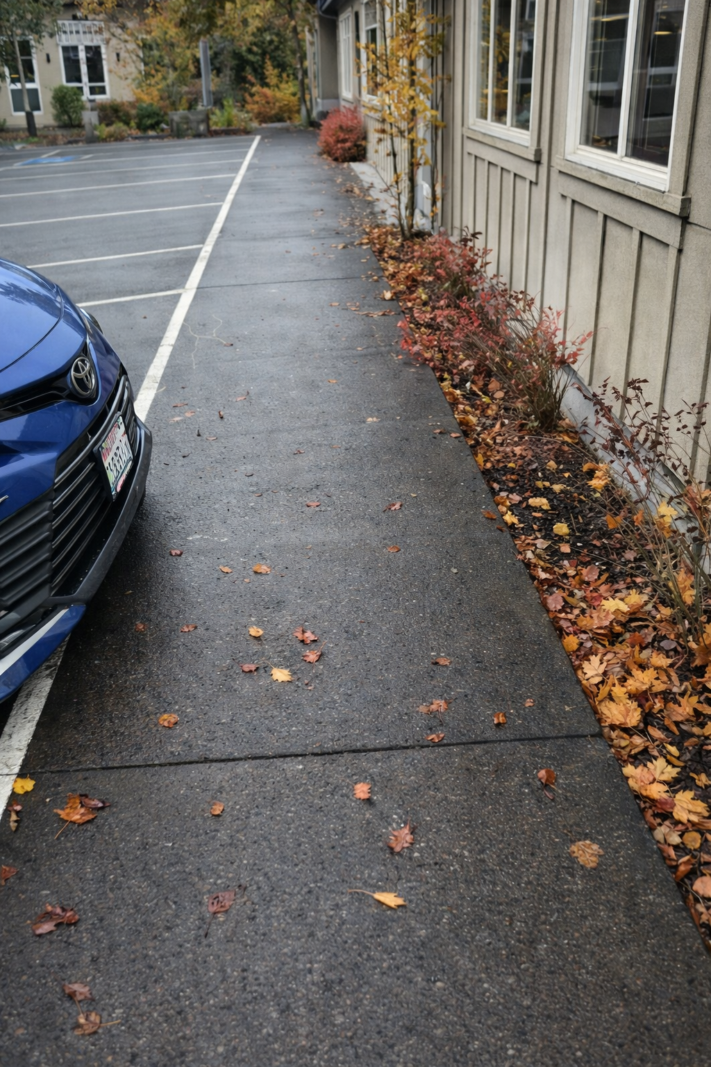 Project 1 after pressure washing