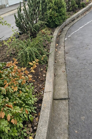 Project 2 after pressure washing